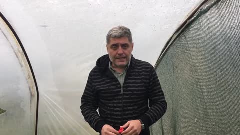 Miroljub Petrović - Izolacija - Kancelarija
