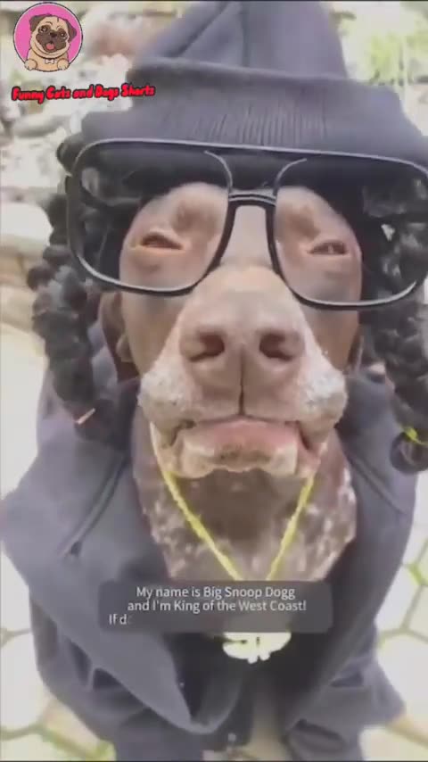 420 CLIP OF THE DAY DECEMBER 27, 2024