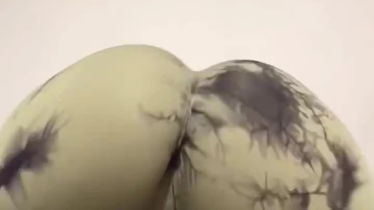 What is this? 😂🙌