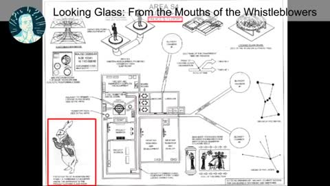 Project Looking Glass - From the Mouths of the Whistleblowers