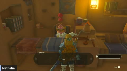 ZELDA TOTK in the Gerudo area