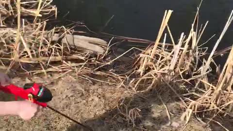 Kid Catches Fish on His First Cast