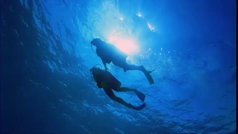 Diving Under Water Funn