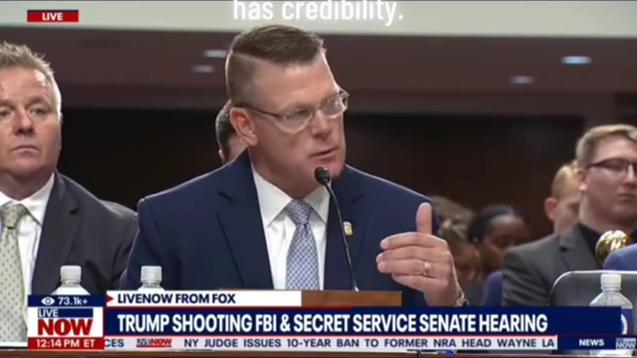 SECRET SERVICE SENATE HEARING