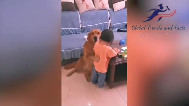 Smart dog protects girl from being scolded by her mom