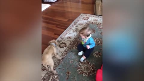 Funny Baby And Dog Compilations | Laughing Babies Playing With Dog And Water