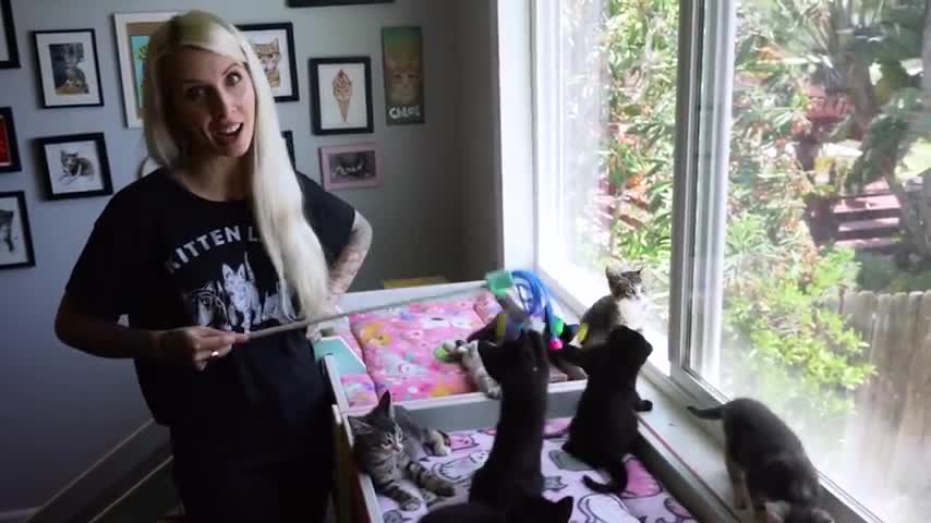 How_to_STOP_Kittens_From_Biting_You_(6_Tips!)