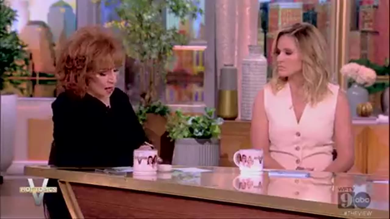 Joy Behar: "If you shoot with an AR-15, let's say you shoot a deer, you can't eat it"