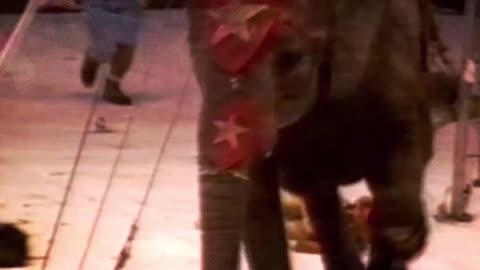 MOMENTS WHEN WILD ANIMALS ATTACK PEOPLE ( HEAVY IMAGES +18) 2021