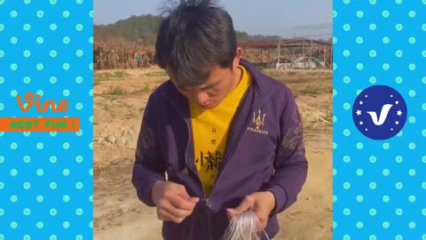 NEW FUNNY VIDEOS 2021 - PEOPLE DOING FUNNY AND STUPID THINGS