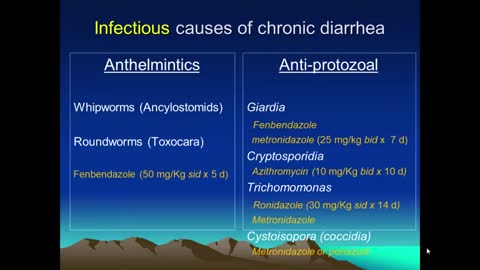 Therapies for Diarrhea in Dogs and Cats