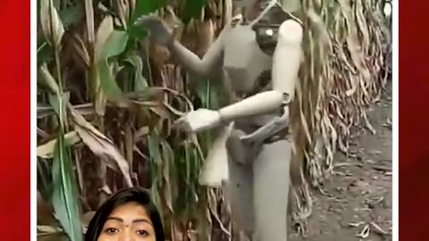 రోబో వ్యవసాయం చేస్తే ఇలా ఉంటుందా? #ai #robo video #farmingvideo | FBTV NEWS