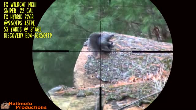 Hajimoto Hunting - Gray Squirrel #13