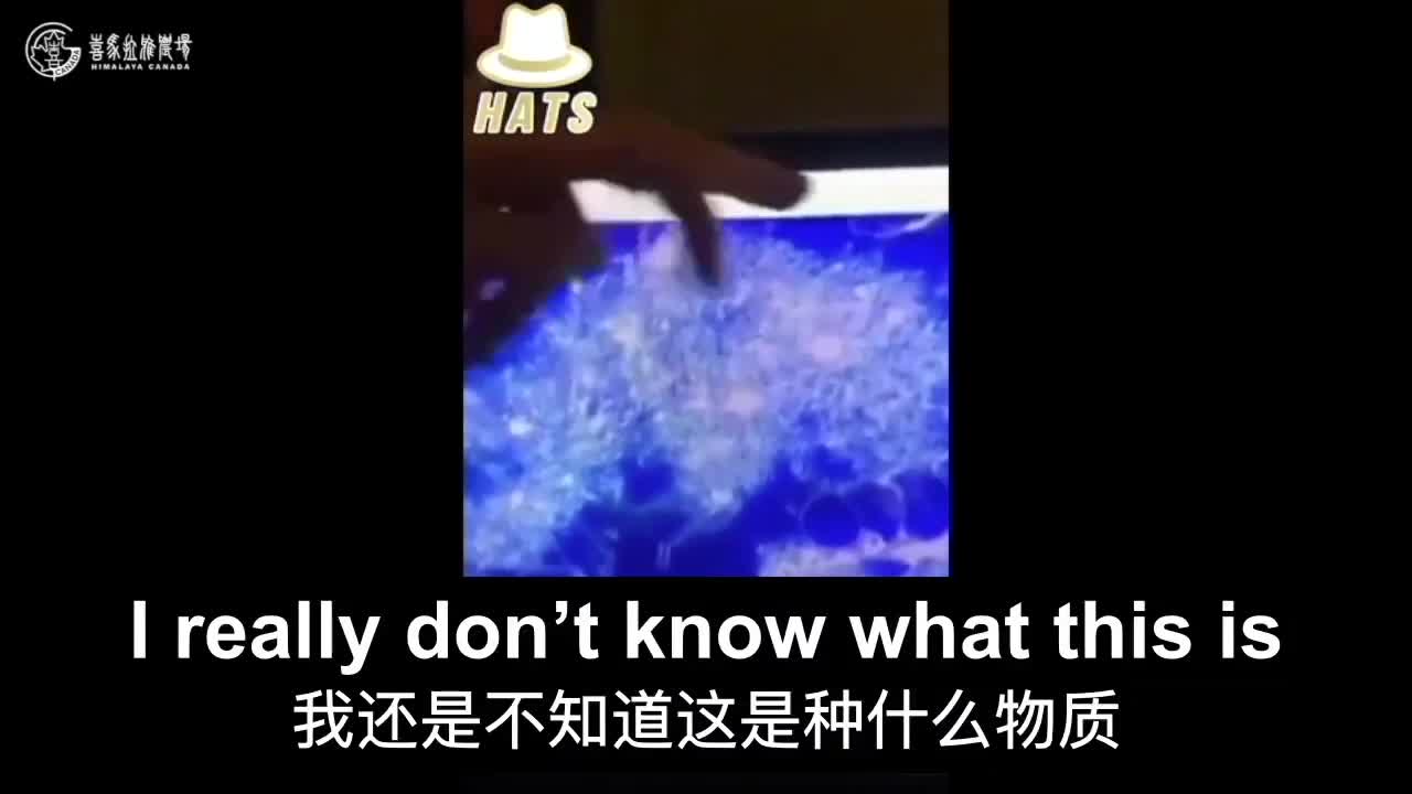 從醫三十年的女醫生,講述她在顯微鏡下觀察疫苗接種者血液時發現,血液中存在凝血塊、受損的白細胞、石墨烯以及其他不明物質。
