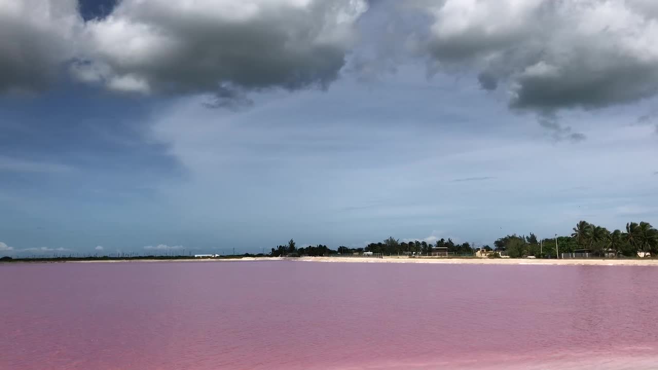 pink ocean