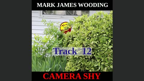 Camera Shy - Track 12