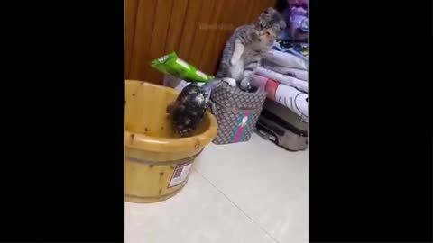 Weeeeee !!!
