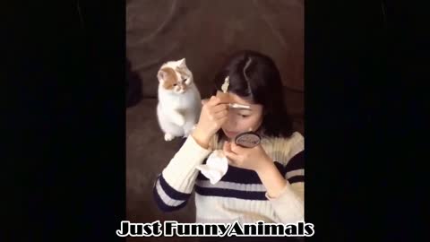 OMG So Cute And Funny Cats ♥ Best Funny Cat Videos 2021