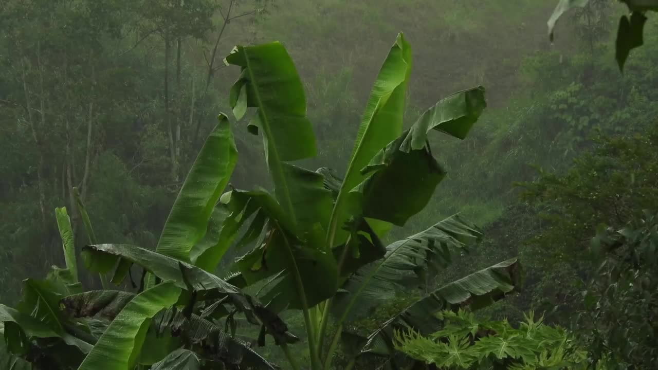 Mollifying wind and rain