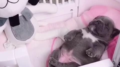 Don't Disturb Please I am Sleepy Time Now..