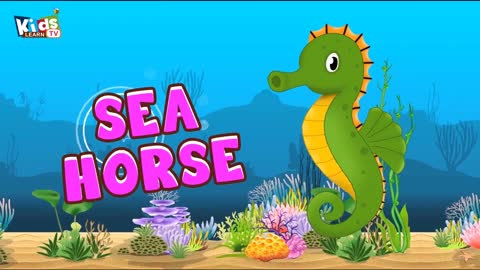 Sea animals Name learning for kids