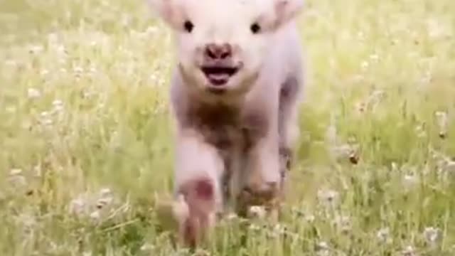 Hey is that a camera?