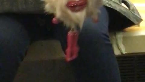 Woman has furry mouth key chain on subway