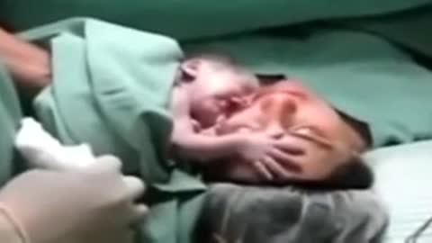 A child who doesn't want to leave his mother.