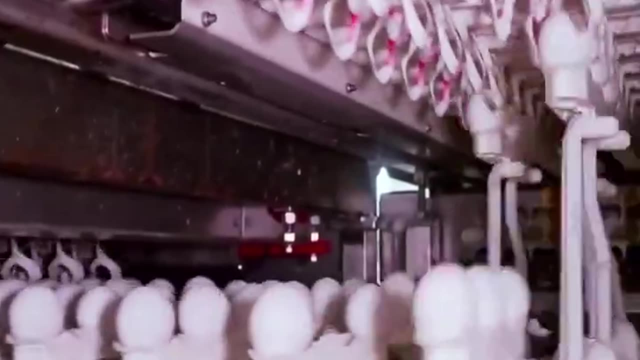 EGG FACTORY THAT PRODUCE THOUSANDS OF EGGS