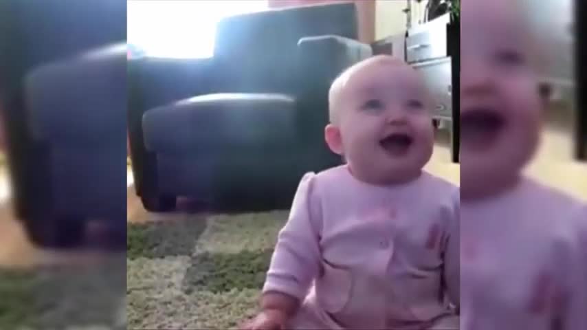 The Best Compilation Funny Videos 2021-2022