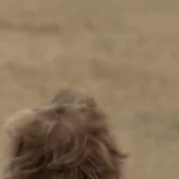 Episode #83 Shocking News All World Fan's Shane Warne Death In 52 Age