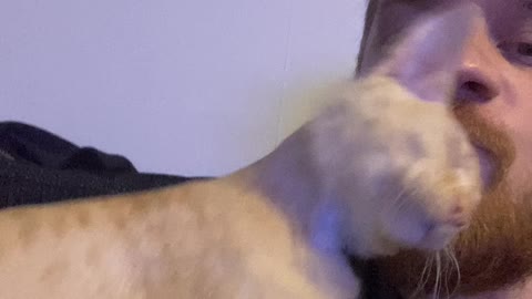 Best kisses