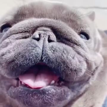 Who could say NO to this?