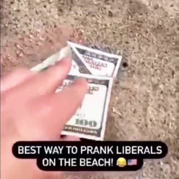 il Donaldo Trumpo @PapiTrumpo 🤣🤣🤣