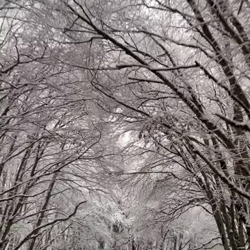 Nature Videos / Ice in the would white would/ roadway beautiful would travelling