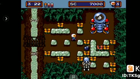Mega Bomberman