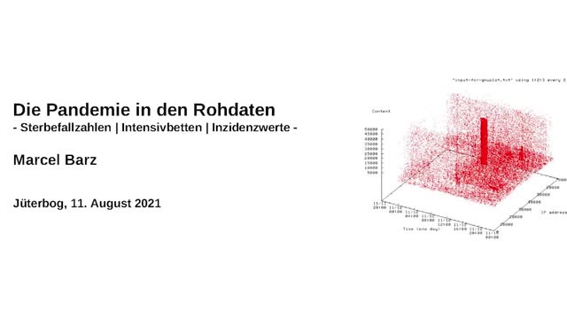 Marcel Barz - Pandemie in Rohdaten