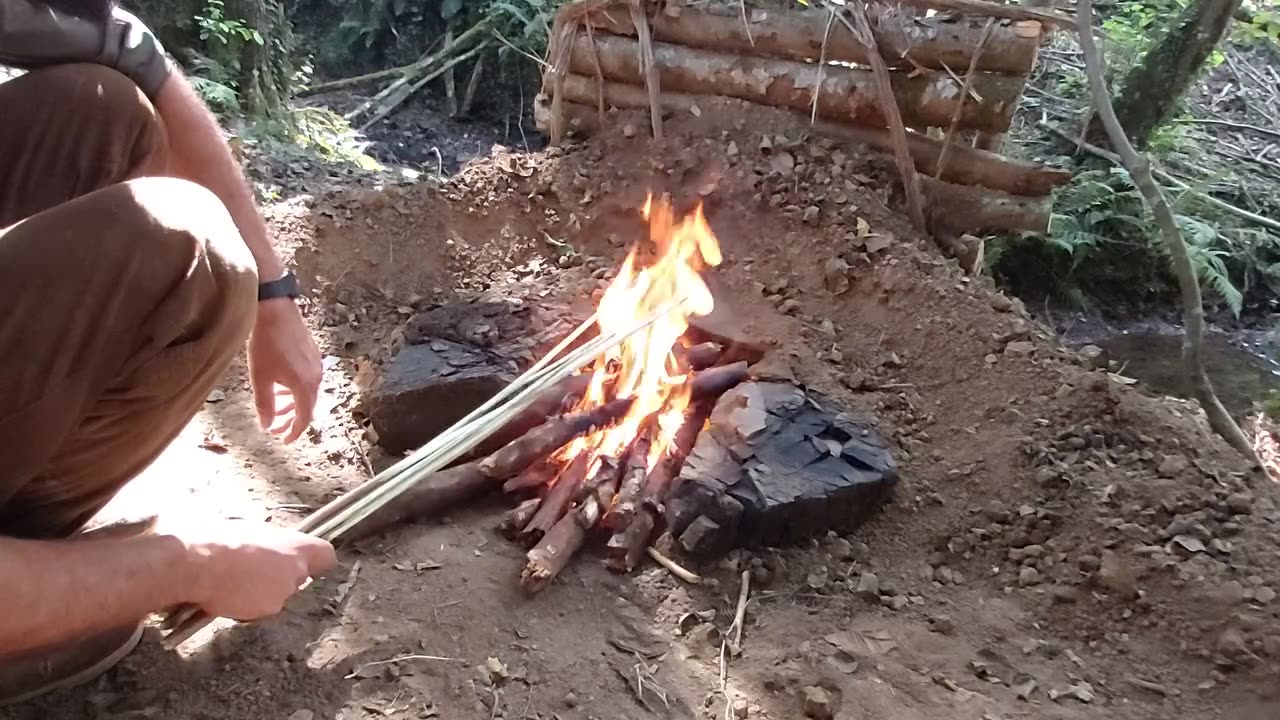 Campfire cooking in my shelter - Cooking video in the wild