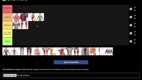 Most Important Muscles For Fighting (Science Based Tier List)