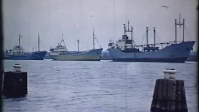 Bau des Tunnels unter dem Nord Ostsee Kanal