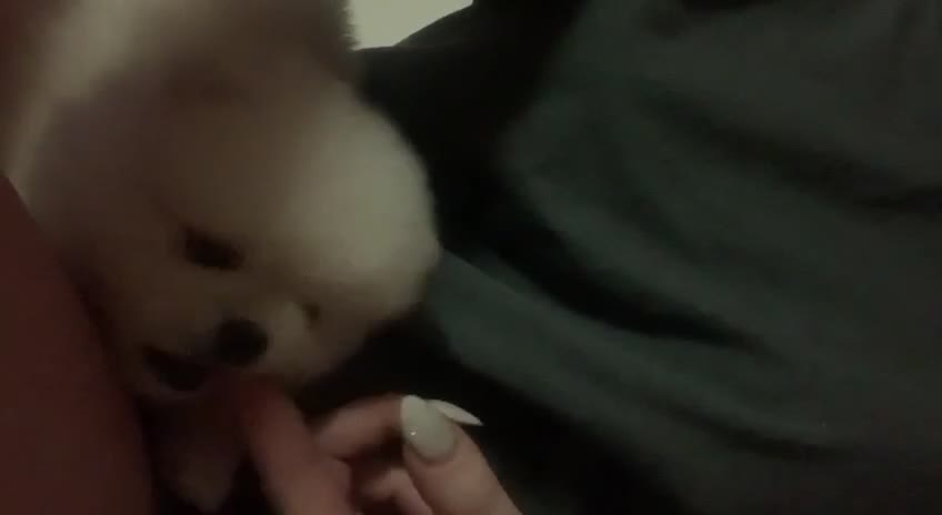 At that time, my Gucci was a newborn baby. My hands bite as if they're his food. Cute, huh?