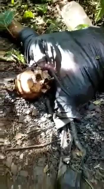 Viewer Discretion Advised: dead body at the Panama Darien Gap Jungle