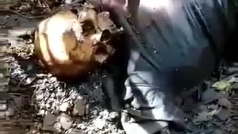 Viewer Discretion Advised: dead body at the Panama Darien Gap Jungle