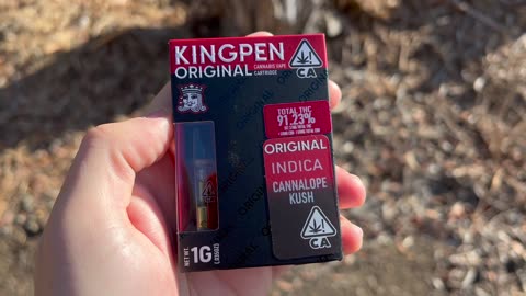 Kingpen Cartridge Review