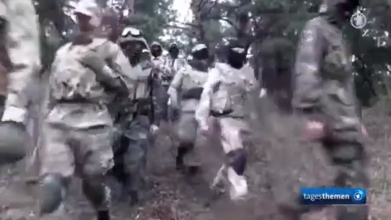 Als die Tagesschau noch die Fakten berichtete. Slava Ukraine = Heil den Azov Nazis