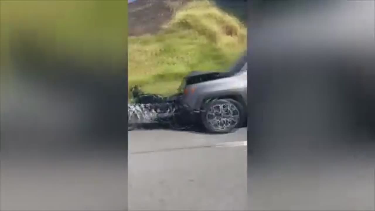 IDIOTS IN CARS