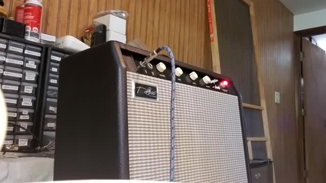 TriGens Amplification Kingston-Amp (6G2 Clone)