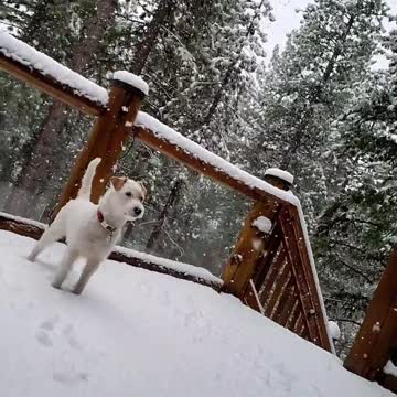 Ares feels the snowflake