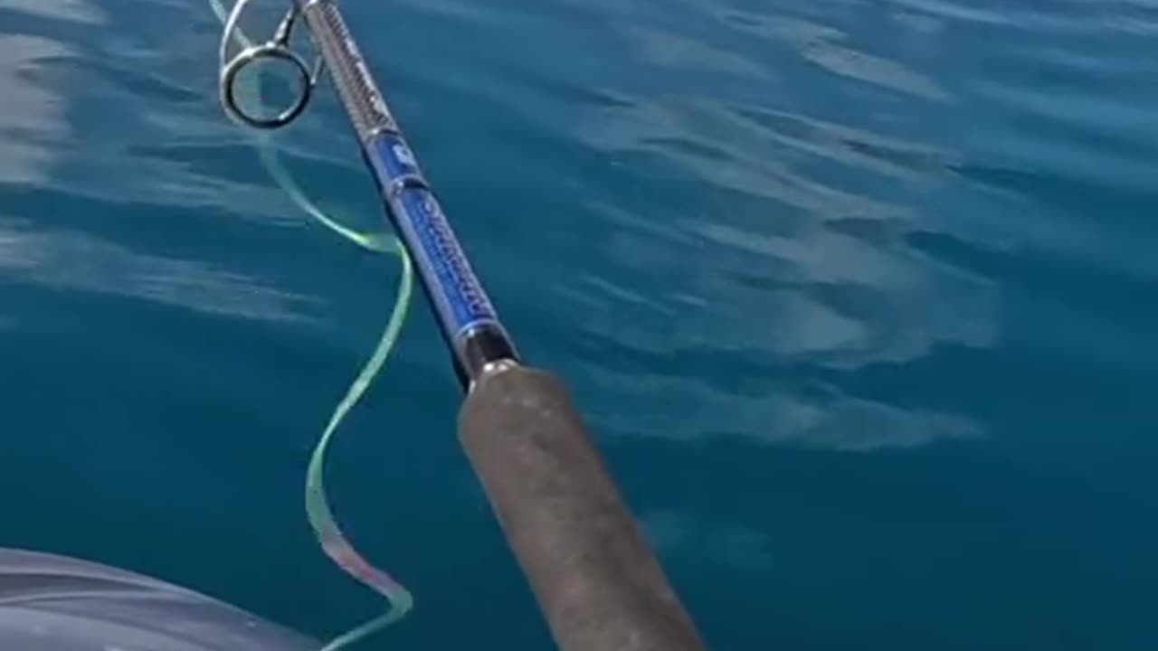 Greatest Fishing Videos of All Time Part 6