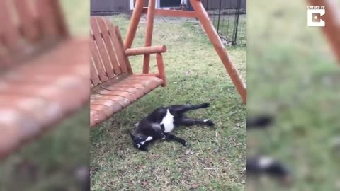 Ahhh Ricky.... It's ok